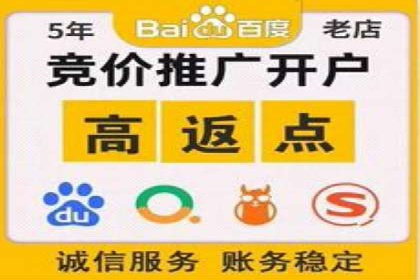 百度竞价公司案例分析：提升转化率的策略